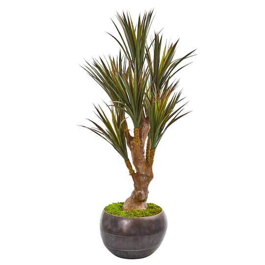 4ft. Yucca Tree in Decorative Planter